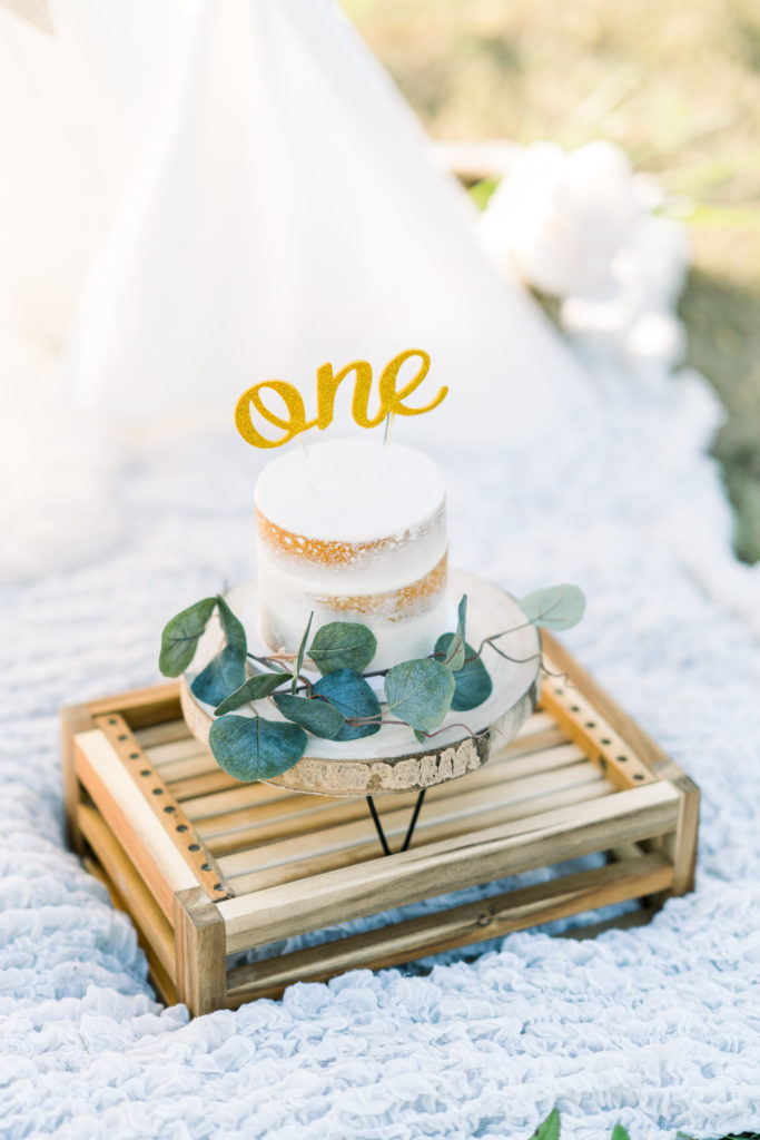 Lindsay Sever Photography Baby Boy Cake Smash